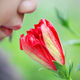Illustration for article titled Our Ability To Smell Depends On Our Culture